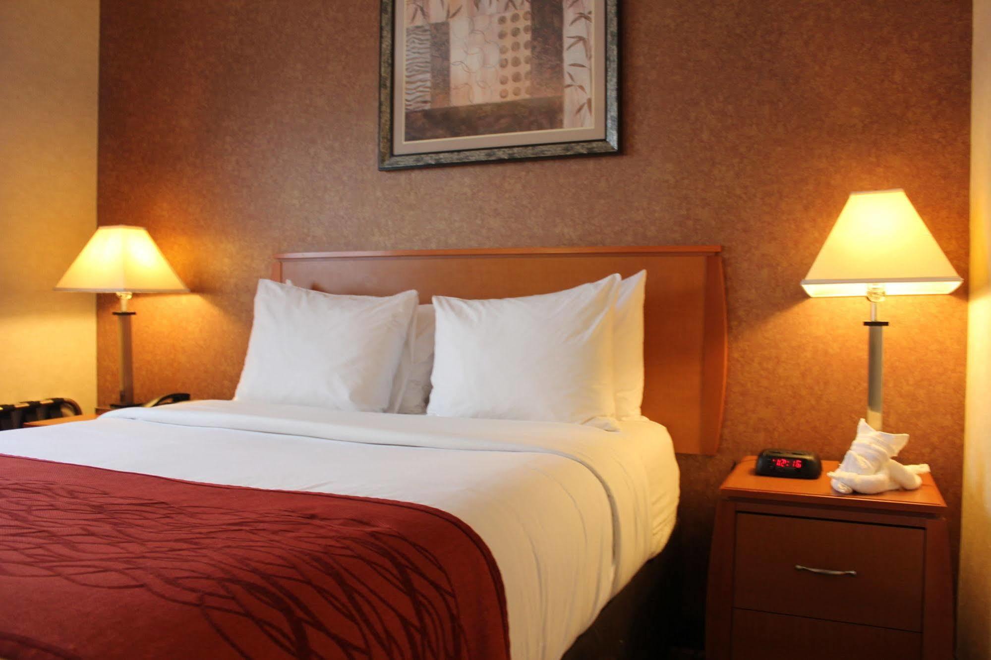 Bellerose Inn Bagian luar foto